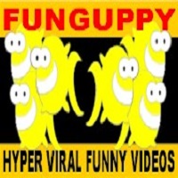 Perpetual Home Business Website Traffic And Advertising